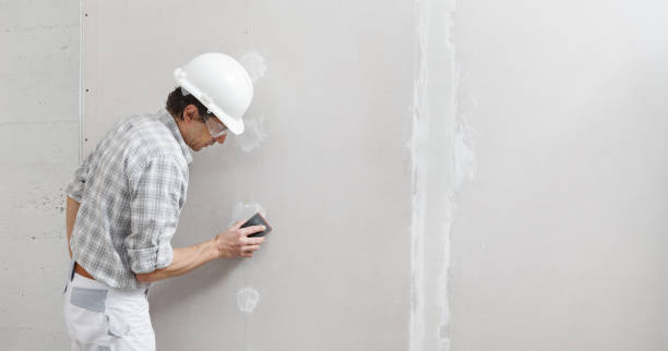 Best Drywall Sanding and Smoothing  in Mount Vernon, VA